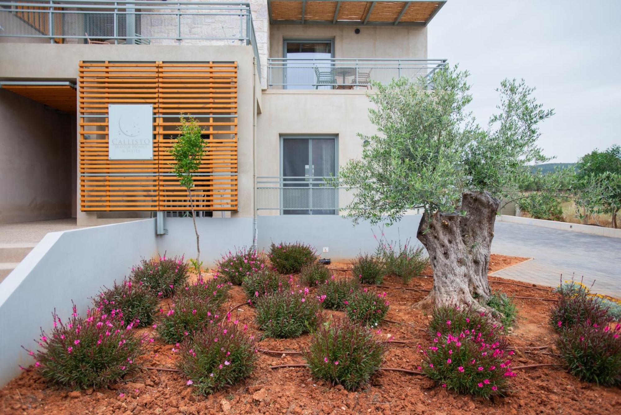 Callisto Seaside Homes & Suites Marathopoli Eksteriør bilde